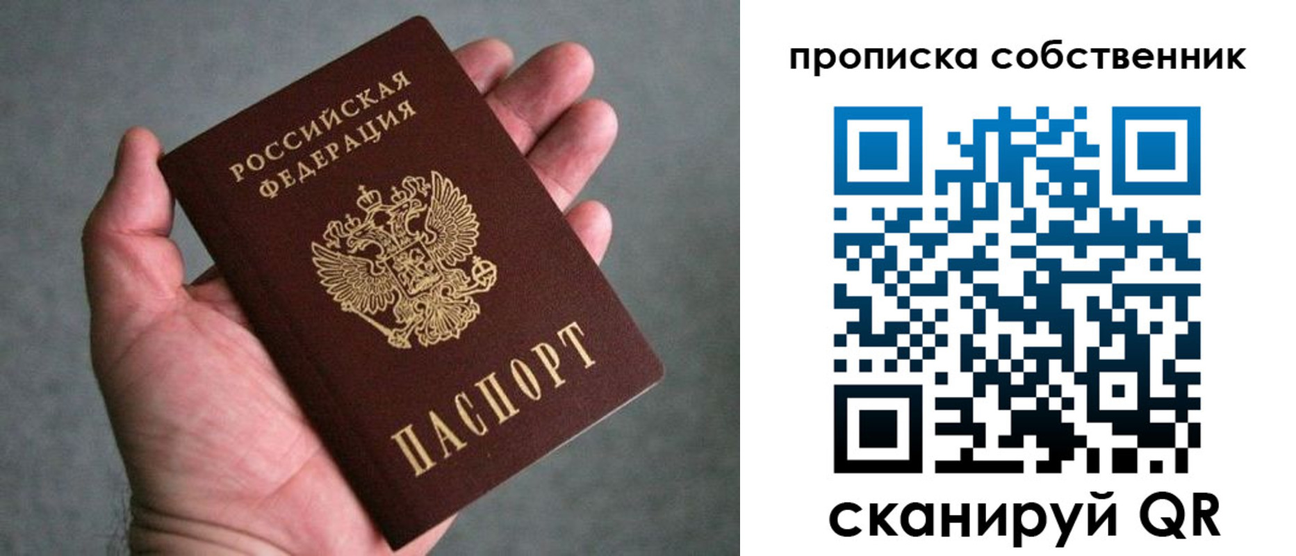 пропишу в квартире в Борзе